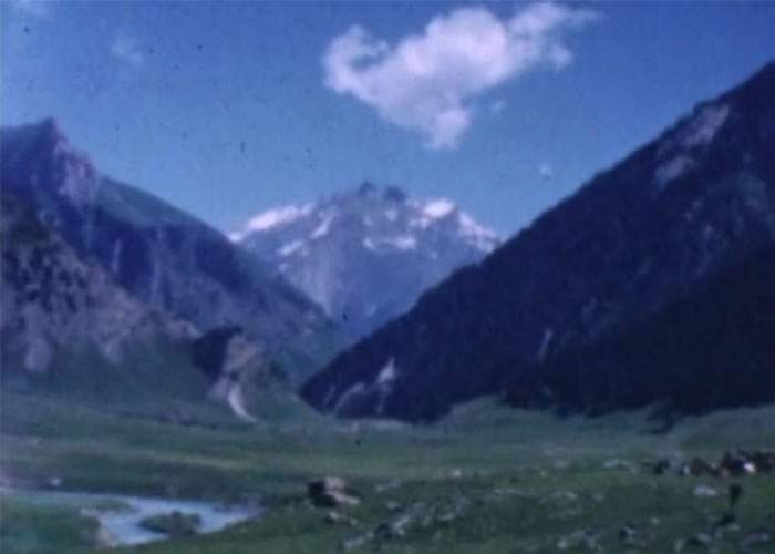 The Himalayan mountainside.