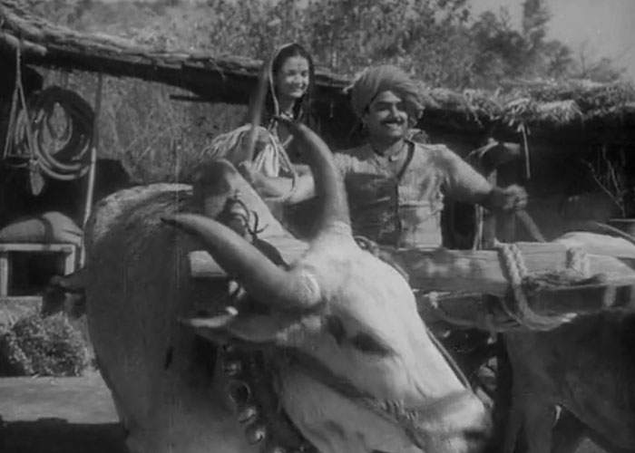 The happy couple from 'In Rural Maharashtra'.