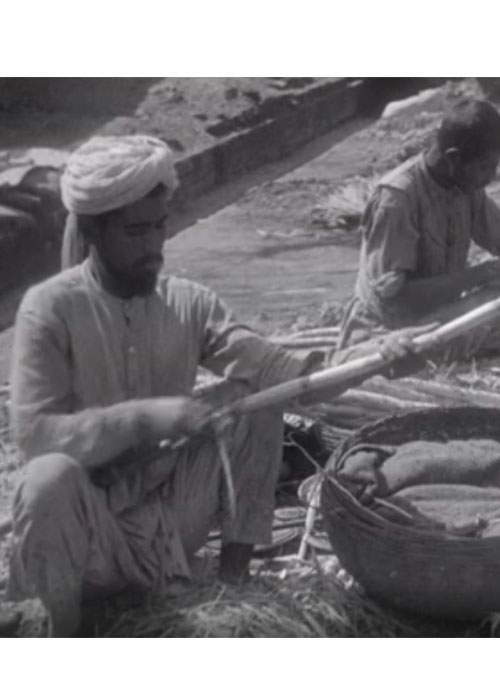 A market tradesman peels back layers of sugar cane at the Eastern Markets.